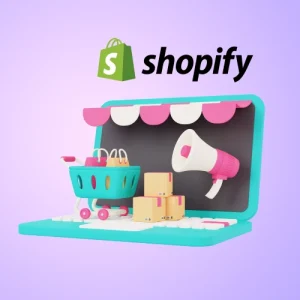 Temel Shopify E-Ticaret Paketi